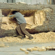 Image for article titled Giuseppe Penone's Hidden Life Within Shows Off A Tree Within A Tree